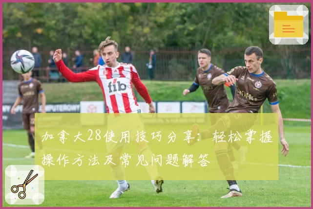 加拿大28使用技巧分享：轻松掌握操作方法及常见问题解答