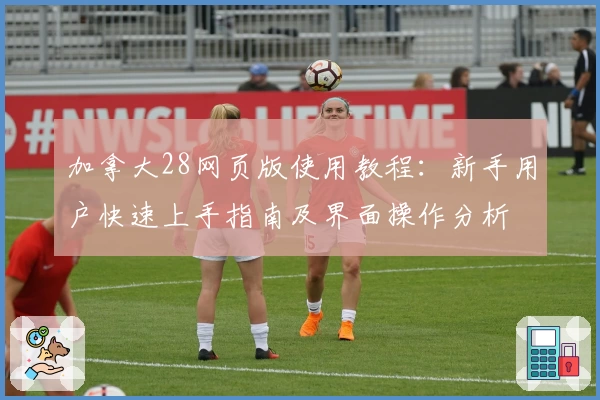 加拿大28网页版使用教程：新手用户快速上手指南及界面操作分析