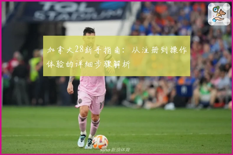 加拿大28新手指南：从注册到操作体验的详细步骤解析
