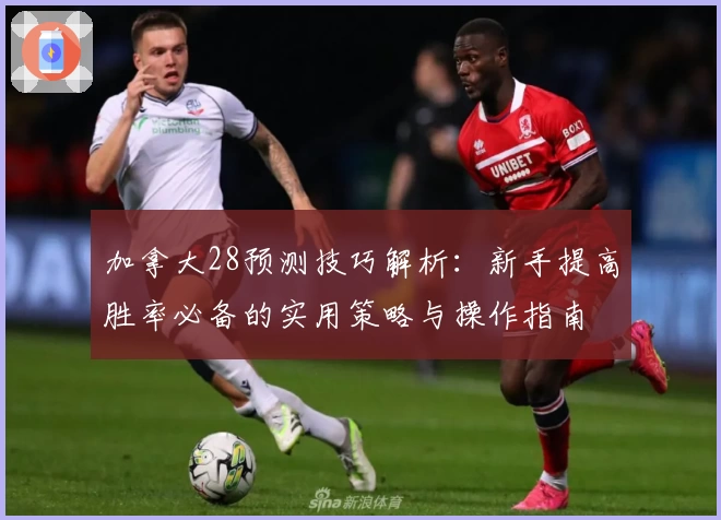 加拿大28预测技巧解析：新手提高胜率必备的实用策略与操作指南