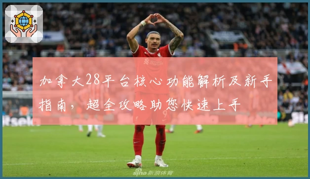 加拿大28平台核心功能解析及新手指南，超全攻略助您快速上手