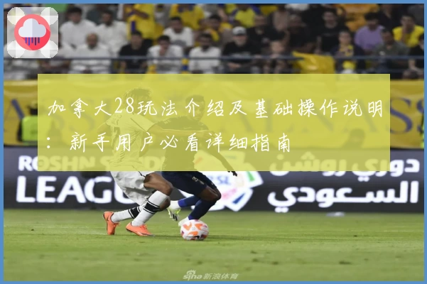 加拿大28玩法介绍及基础操作说明：新手用户必看详细指南
