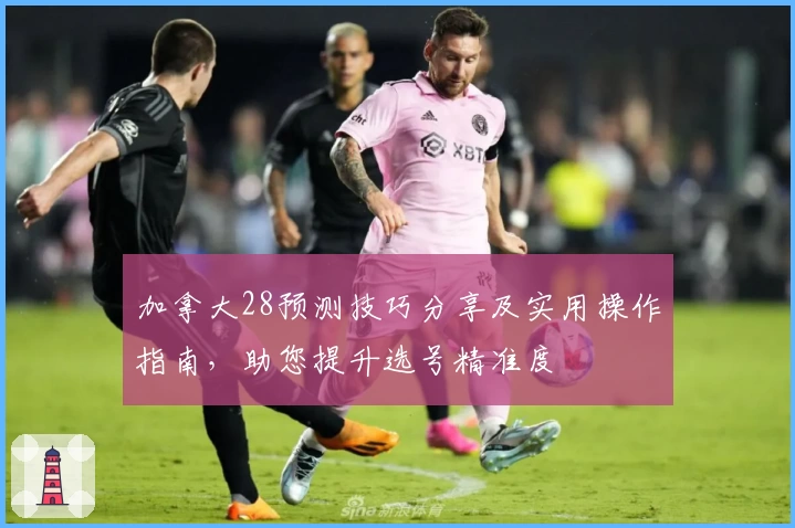 加拿大28预测技巧分享及实用操作指南，助您提升选号精准度