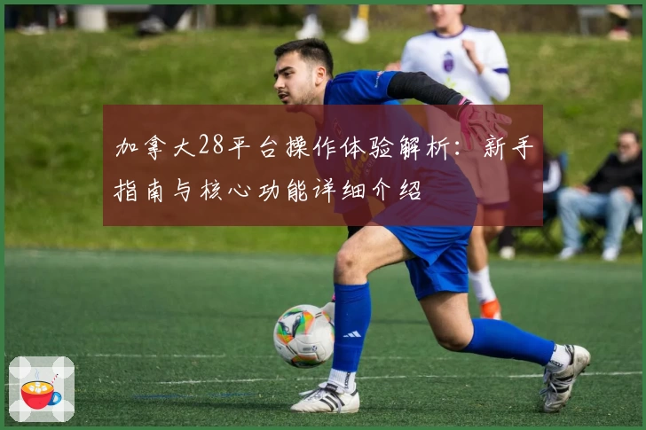 加拿大28平台操作体验解析：新手指南与核心功能详细介绍