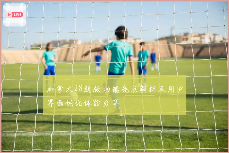 加拿大28新版功能亮点解析及用户界面优化体验分享