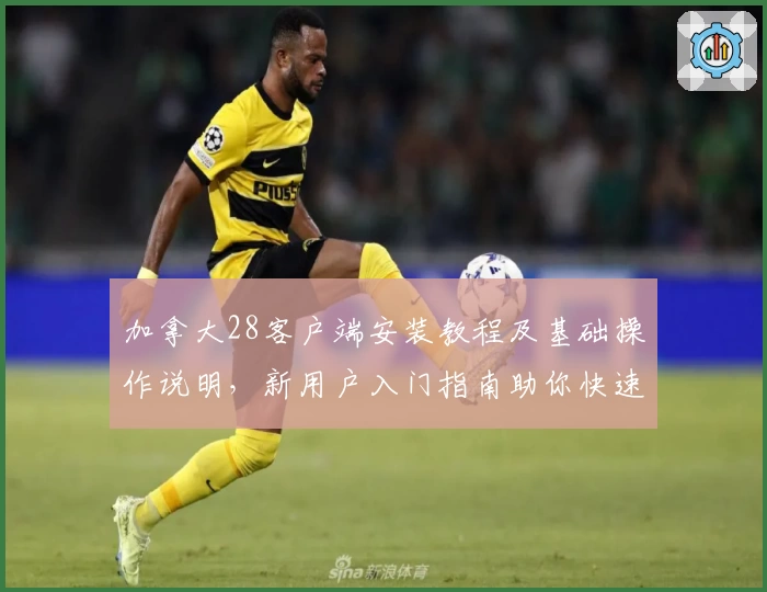 加拿大28客户端安装教程及基础操作说明，新用户入门指南助你快速上手