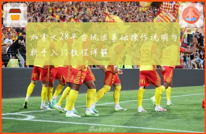 加拿大28平台玩法基础操作说明与新手入门教程详解