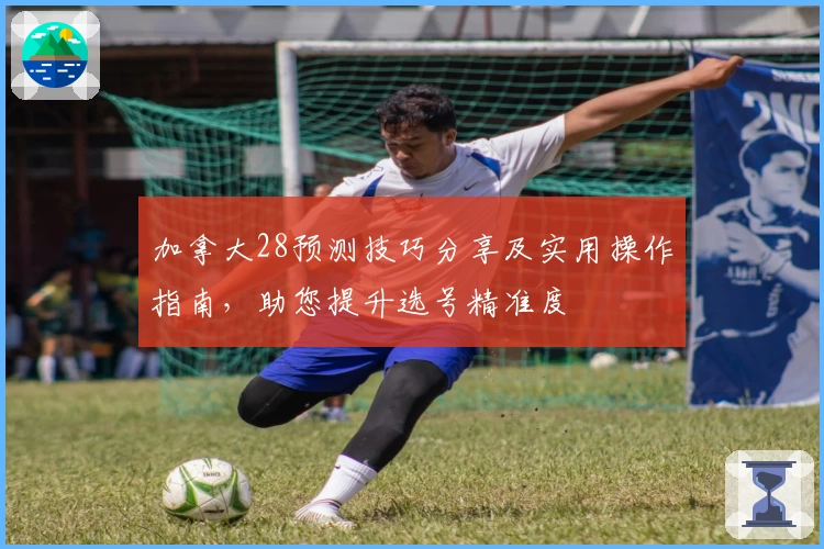 加拿大28预测技巧分享及实用操作指南，助您提升选号精准度