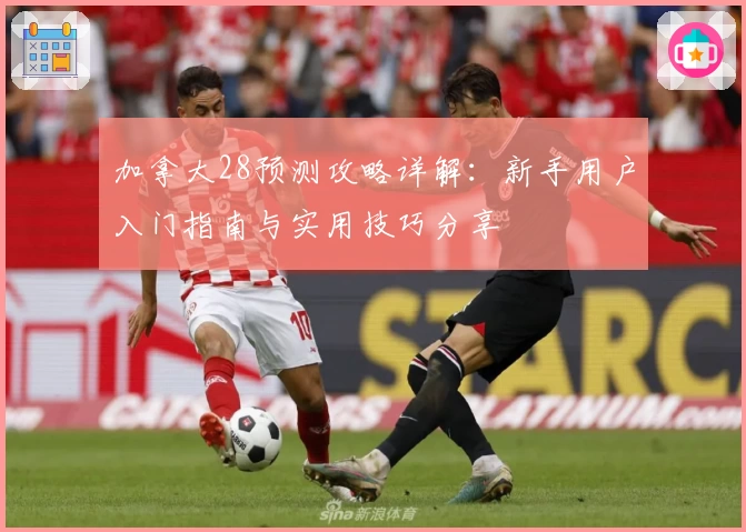 加拿大28预测攻略详解：新手用户入门指南与实用技巧分享