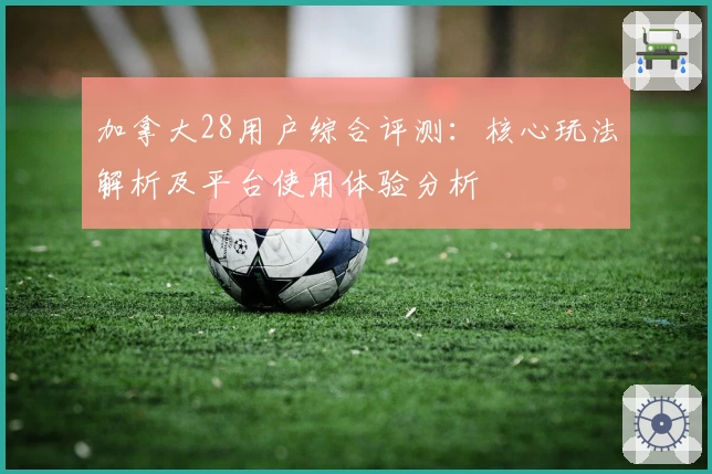 加拿大28用户综合评测：核心玩法解析及平台使用体验分析