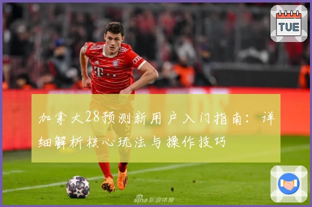 加拿大28预测新用户入门指南：详细解析核心玩法与操作技巧